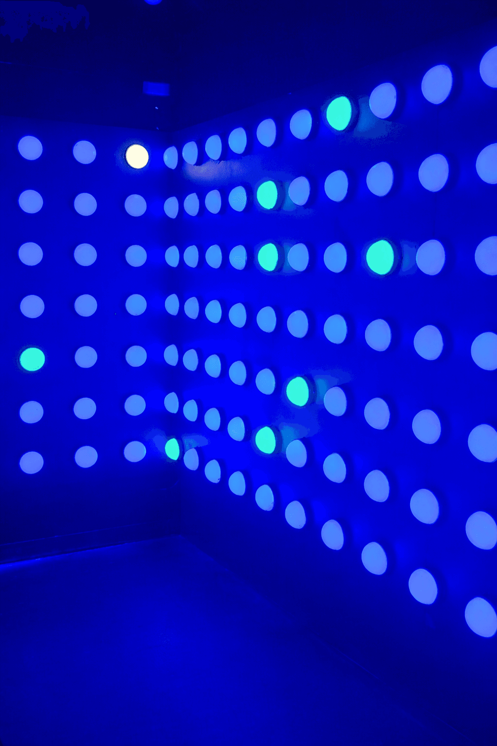 Own the wall. Beat the lights